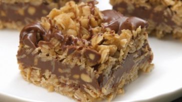 No Bake Chocolate Oat Bars