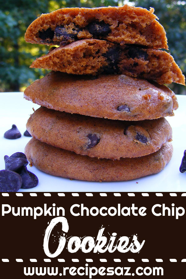 Pumpkin Chocolate Chip Cookies Recipe