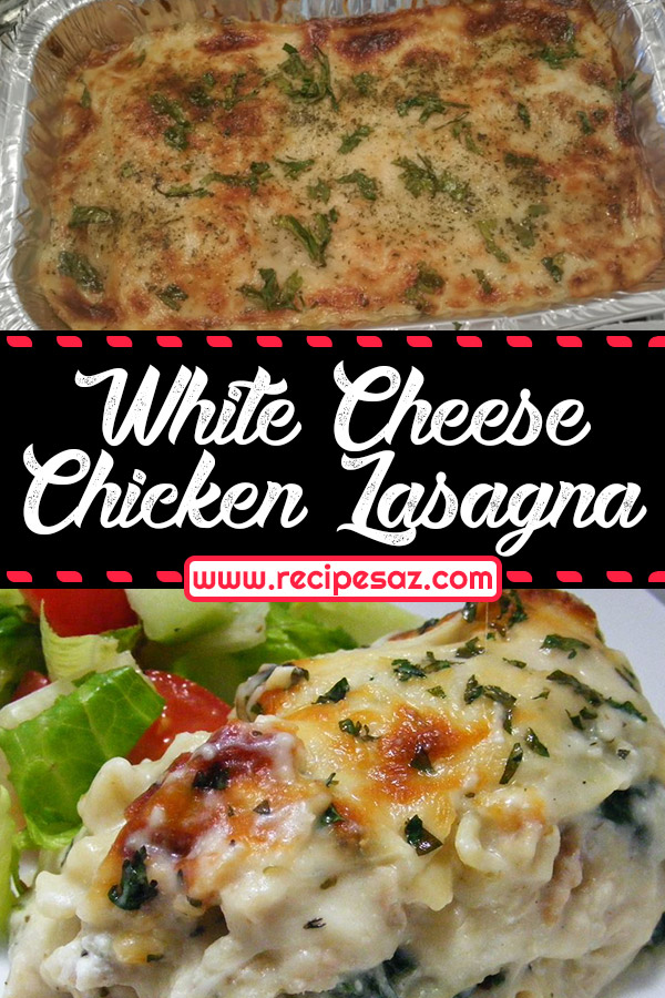 White Cheese Chicken Lasagna Recipe