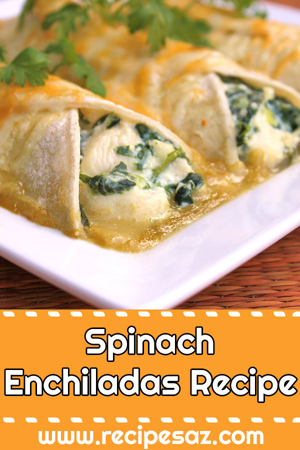 Spinach Enchiladas Recipe - If you like spinach and Mexican food, you'll love these easy vegetarian enchiladas made with ricotta cheese and spinach. #spinach #spinachenchiladas #spinachrecipe #spinachrecipes #spinachenchiladasrecipe #enchiladasrecipe #mexicanfood #mexicanrecipes #vegetarian #vegan #veganrecipes #vegetarianrecipes