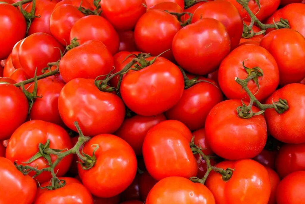 Tomatoes